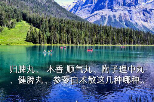 木香順氣丸說明書,濕鮮全草茶有助排除體內濕氣便于攜帶