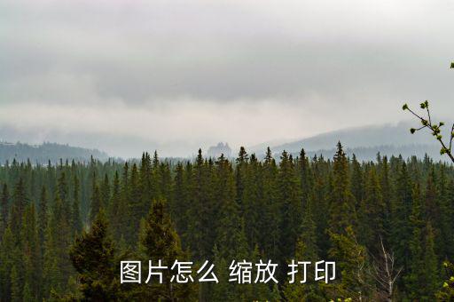 縮放打印,新加坡大選】首次使用點(diǎn)擊瀏覽器輸入文件打印縮小版