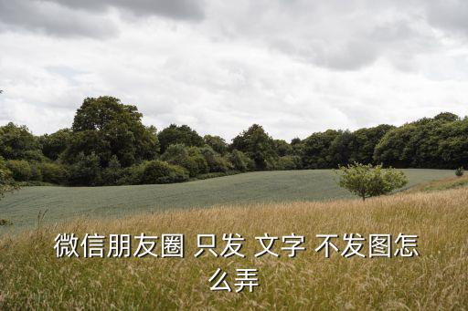 微信朋友圈怎么只發文字不發圖片,微信怎么樣?