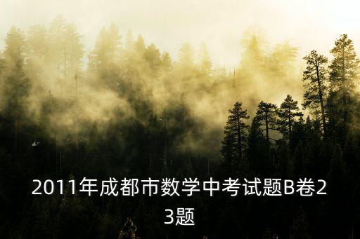 2013年成都市中考數學試卷，一道成都中考數學題