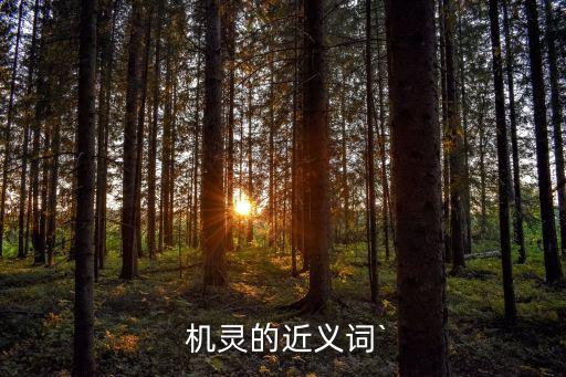 機靈造句,機靈淘氣孫悟空造句:你是a機靈