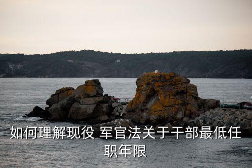 軍官法,現役軍官軍銜分三級十級