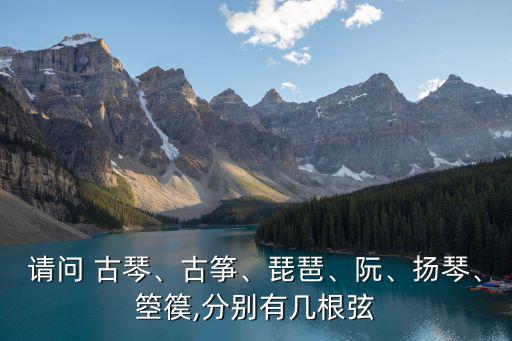 請問 古琴、古箏、琵琶、阮、揚琴、箜篌,分別有幾根弦