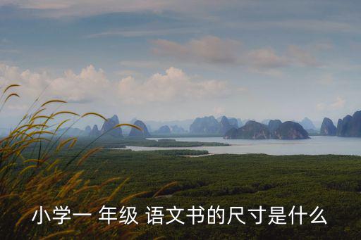 一年級的語文書,語文書籍特點少而精有利學生在探究中學習