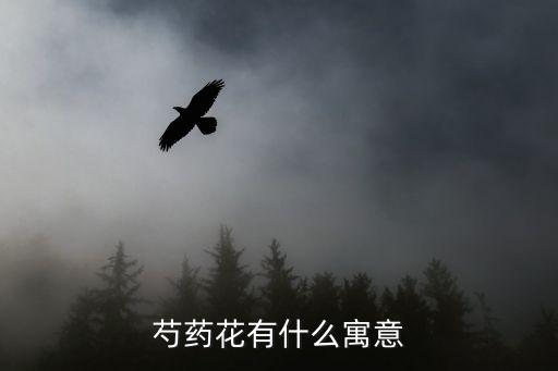 芍藥花有什么寓意