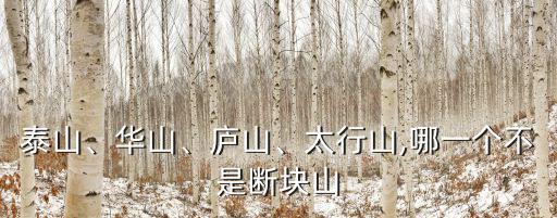 泰山、華山、廬山、太行山,哪一個(gè)不是斷塊山