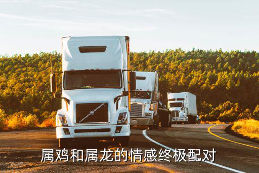 屬雞和屬龍的情感終極配對