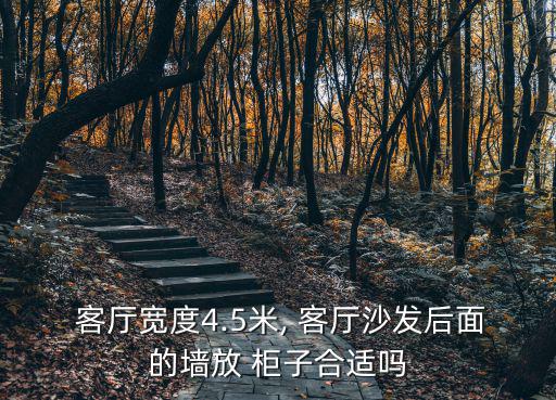  客廳寬度4.5米, 客廳沙發后面的墻放 柜子合適嗎