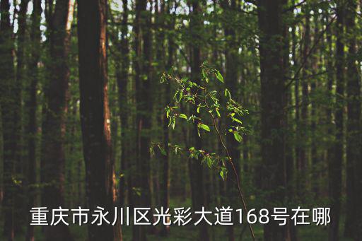 重慶市永川區(qū)光彩大道168號在哪