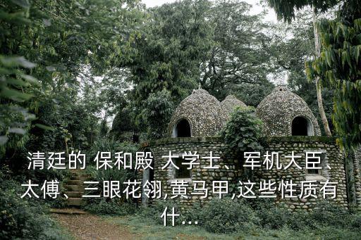 保和殿大學士,清初設內閣中和、保和、文華、文遠閣大學士