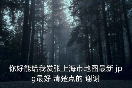 你好能給我發(fā)張上海市地圖最新 jpg最好 清楚點(diǎn)的 謝謝