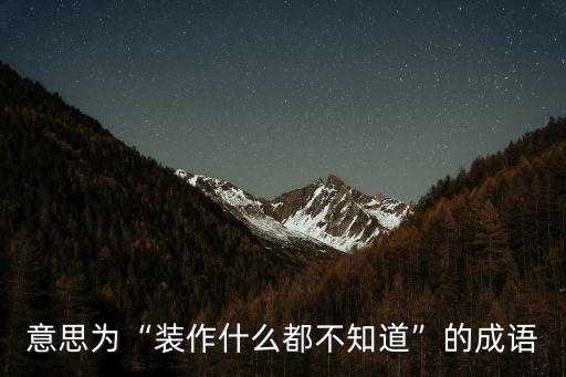 意思為“裝作什么都不知道”的成語