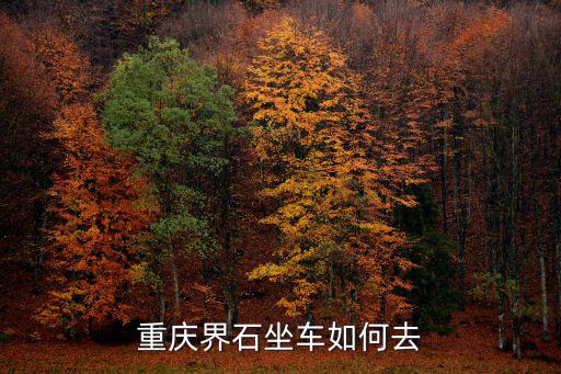 重慶市巴南界石公平，重慶巴南界石90平方簡裝需多少錢