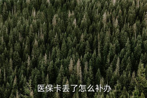 醫保卡丟了怎么掛失,醫療保險個人賬戶專用卡遺失可聯系銀行