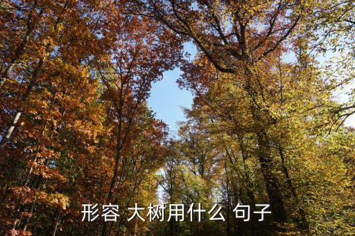 形容 大樹用什么 句子