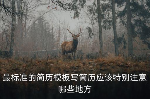 最標(biāo)準(zhǔn)的簡歷模板寫簡歷應(yīng)該特別注意哪些地方