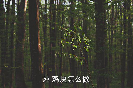 燉 雞塊怎么做