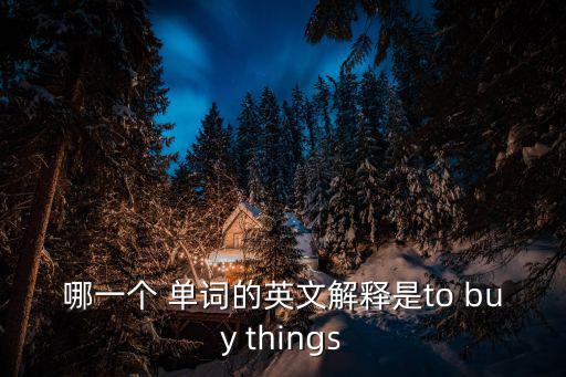 哪一個 單詞的英文解釋是to buy things