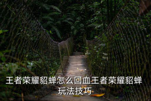 王者榮耀貂蟬怎么回血王者榮耀貂蟬 玩法技巧