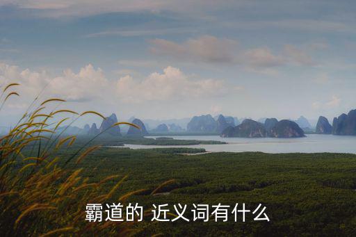 霸氣的近義詞,霸氣指什么?看這里!