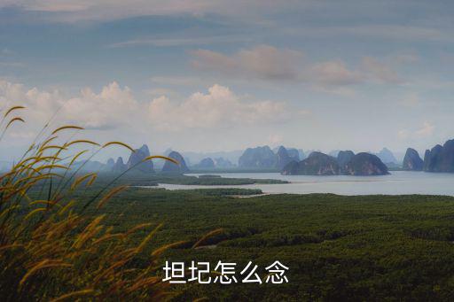 坦圮怎么念