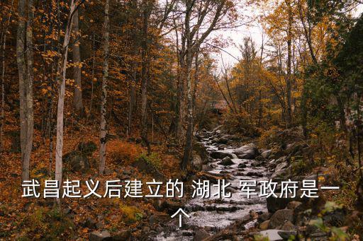 武昌起義后建立的 湖北 軍政府是一個(gè)