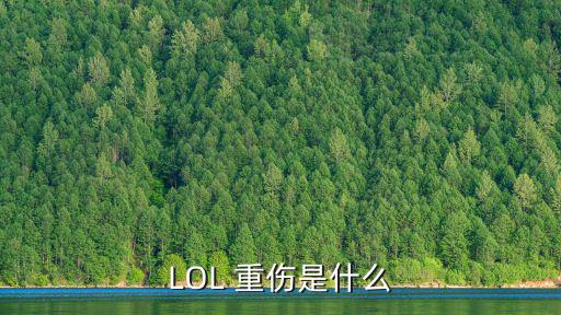 lol重傷,重傷效果:傷害敵人的護甲裝備有效成型