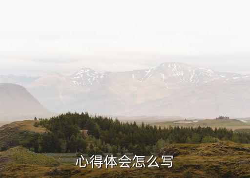 心得體會怎么寫