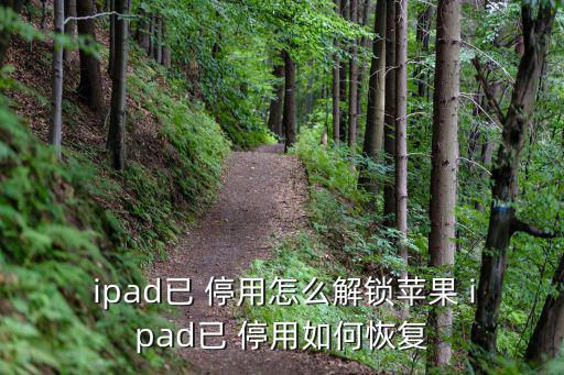  ipad已 停用怎么解鎖蘋果 ipad已 停用如何恢復