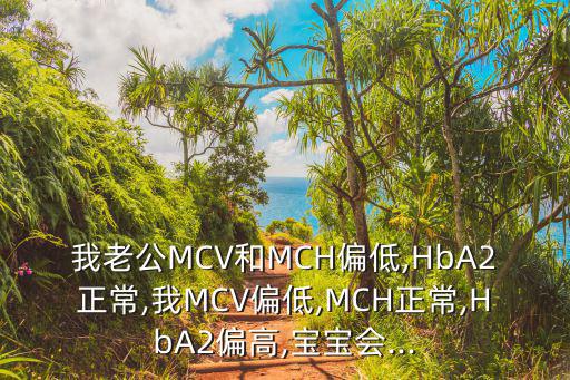 血清鐵偏低是怎么回事,血清鐵蛋白可增加三種情況之一