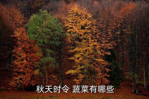  秋天時令 蔬菜有哪些