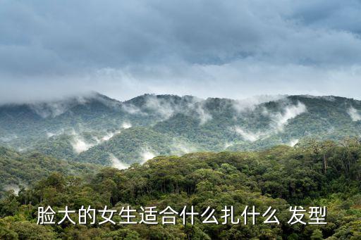  臉大的女生適合什么扎什么 發型