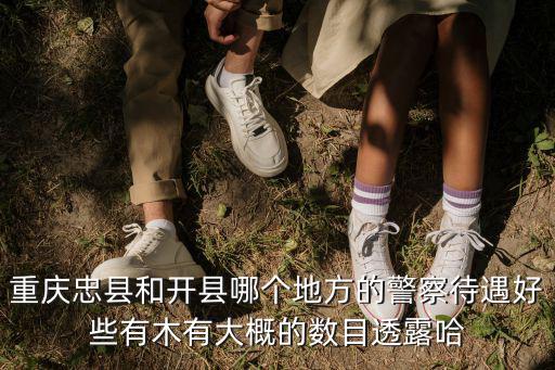 重慶忠縣和開縣哪個地方的警察待遇好些有木有大概的數目透露哈