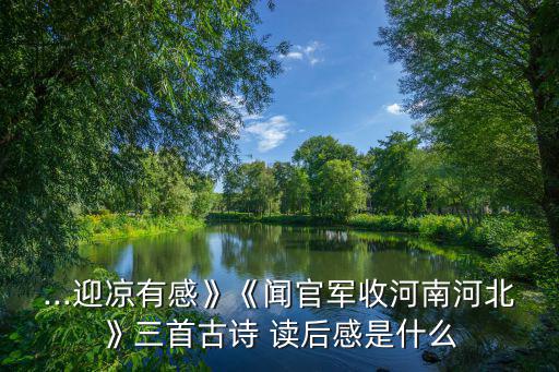 ...迎涼有感》《聞官軍收河南河北》三首古詩 讀后感是什么
