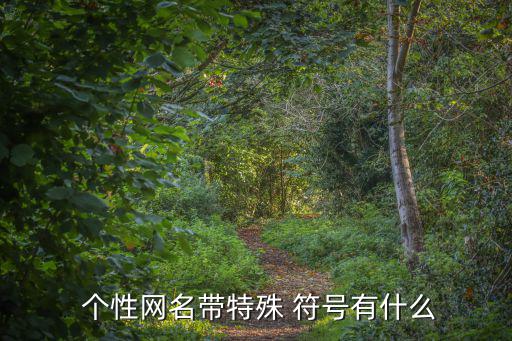 個(gè)性網(wǎng)名帶特殊 符號有什么