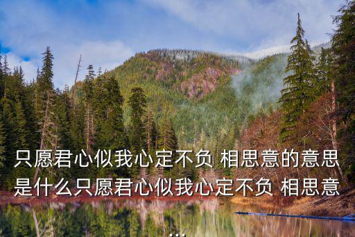 只愿君心似我心定不負 相思意的意思是什么只愿君心似我心定不負 相思意...