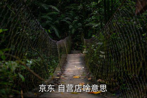 自營店是什么意思,jd.com自營門店和旗艦店之別