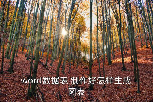  word數據表 制作好怎樣生成 圖表