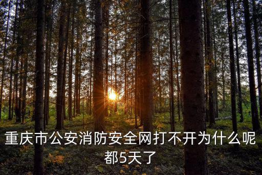 重慶市公安消防安全網打不開為什么呢都5天了