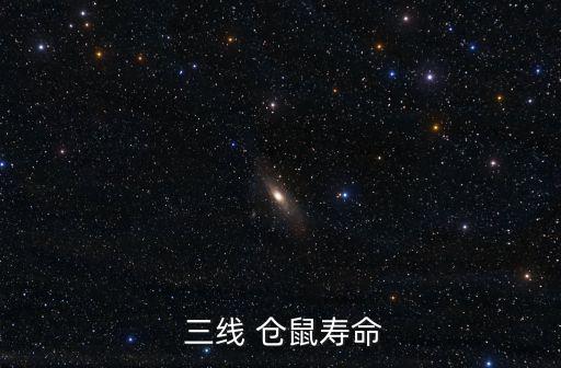  三線 倉(cāng)鼠壽命
