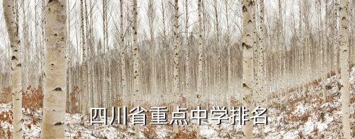 四川省成都市重點中學排名，請問成都市重點中學的排名有哪些是國家級重點中學