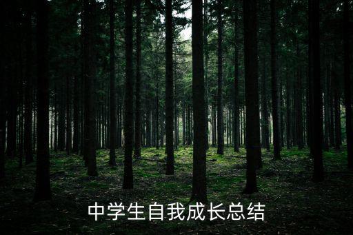 中學生自我成長總結