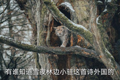 有誰(shuí)知道雪夜林邊小駐這首詩(shī)外國(guó)的