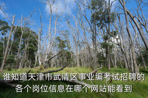 誰知道天津市武清區事業編考試招聘的各個崗位信息在哪個網站能看到