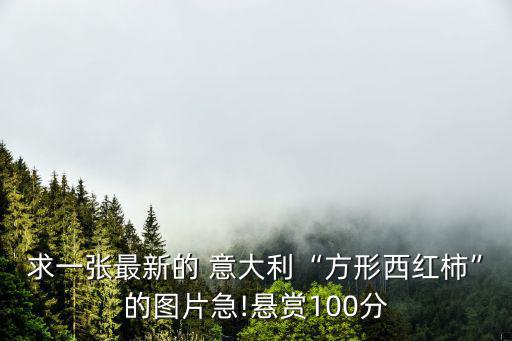 求一張最新的 意大利“方形西紅柿”的圖片急!懸賞100分