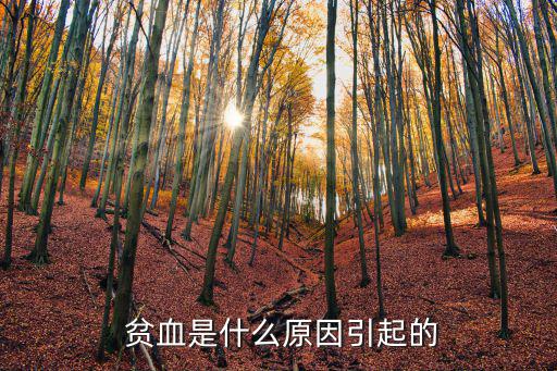  貧血是什么原因引起的