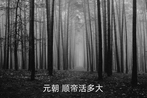 順帝,鐵木穆?tīng)柣貭I(yíng)建都元順?biāo)哪暝O(shè)都