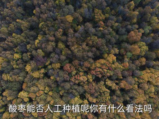 酸棗仁的功效,療養院推出五大新措施助患者重返健康