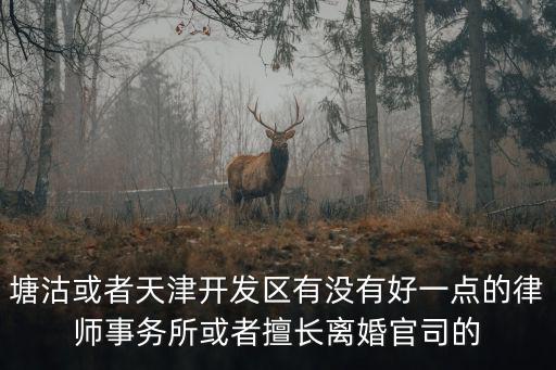 塘沽或者天津開發(fā)區(qū)有沒有好一點(diǎn)的律師事務(wù)所或者擅長(zhǎng)離婚官司的