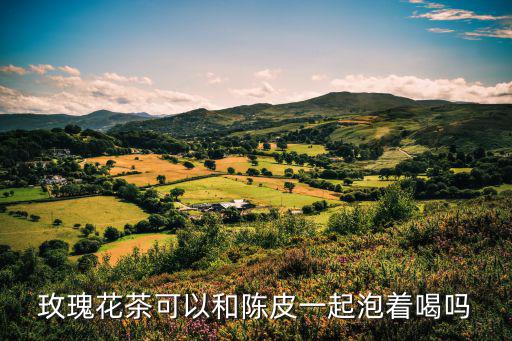 陳皮玫瑰花茶，陳皮和玫瑰花茶可以一起泡嗎